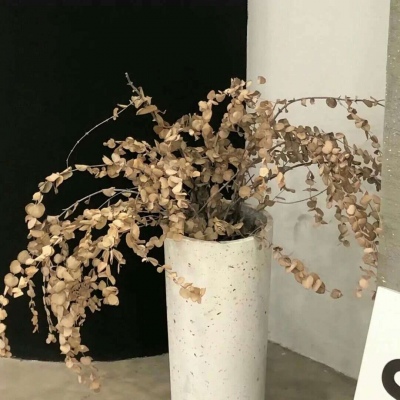 Furry插画构图技巧FurryQQ群